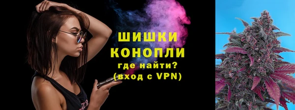 сатива Богородск